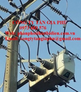 sứ treo polymer 24kv dtr-tq