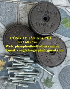 cọc gang-5